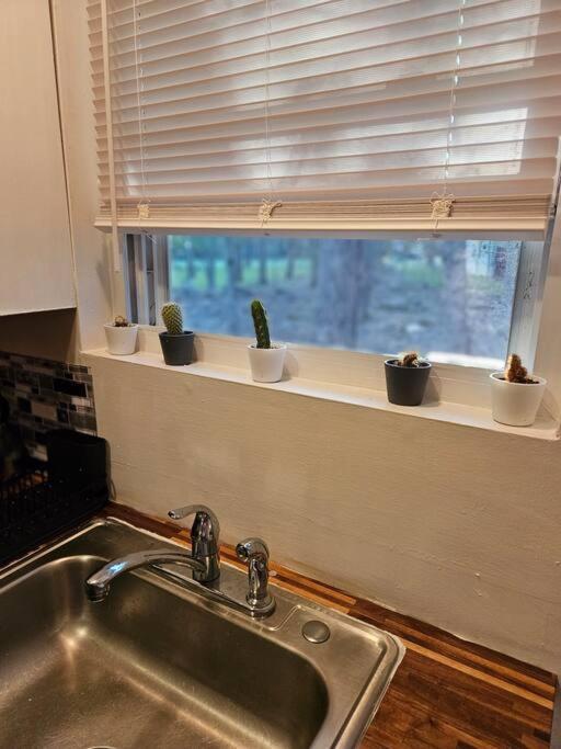 Pocono's Apartment